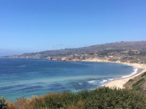 Ocean Trails Reserve hiking trail